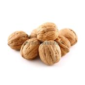 NOIX COQUE LARA CALIBRE 34/36 FILET 5 KG