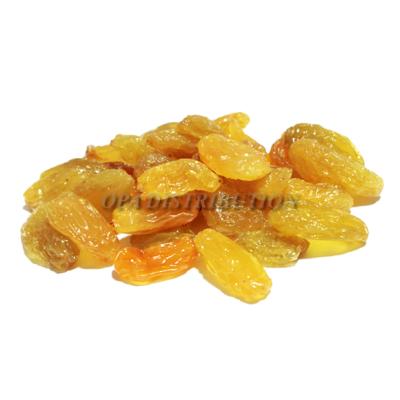 RAISIN GOLDEN JUMBO 10 kg