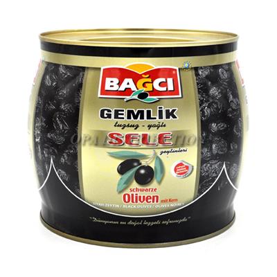 OLIVE NOIRE SELE BAGCI 2/1