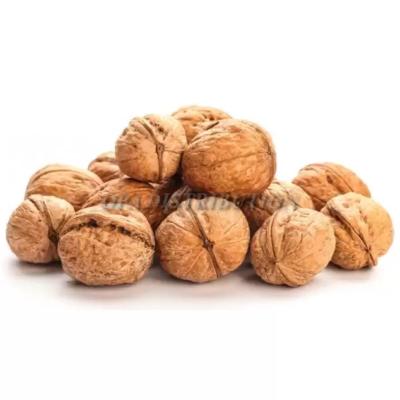 NOIX COQUE LARA CALIBRE 30/32 FILET 5 KG