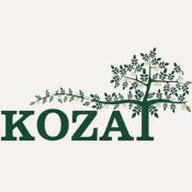 Kozat