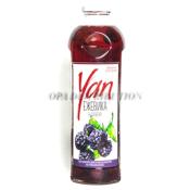 JUS AVEC FRUIT MÛRE YAN 0,93 L